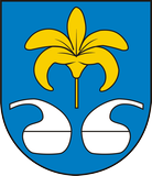 Miasto i Gmina Nowa Sarzyna